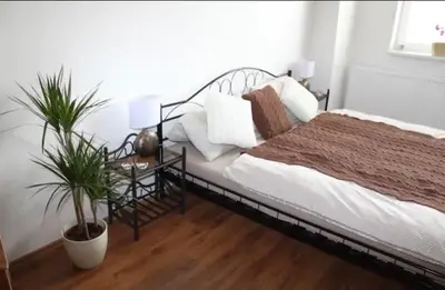 a bedroom with a bed with pillows and a plant at Lenka's cozy Red studio + Lenka's cozy Gold apartment in Prague