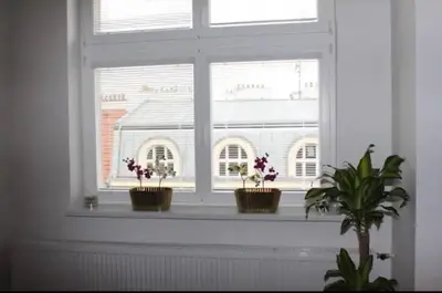 a window with three potted plants on a window sill at Lenka's cozy Red studio + Lenka's cozy Gold apartment in Prague