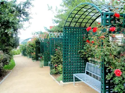 a green garden with roses on a bench at Modern Apartment Riegrovy sady in Prague