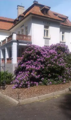 a white building with purple flowers in front of it at Vila Olga in Jevany