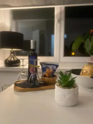 a counter top with a bottle of wine and a plant at Apartmán 2+kk, 50 m2 v klidné lokalitě. 10 min od centra Prahy. in Prague