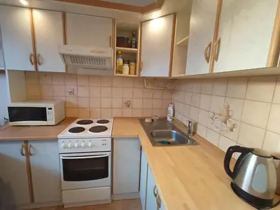 a small kitchen with a stove and a sink at Zálesí in Prague