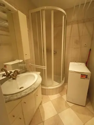 a bathroom with a sink and a shower at Zálesí in Prague