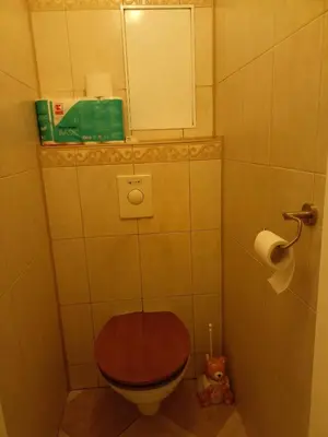 a bathroom with a toilet with a wooden seat and a mirror at Zálesí in Prague