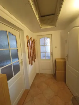 a hallway with a white door and a window at Zálesí in Prague