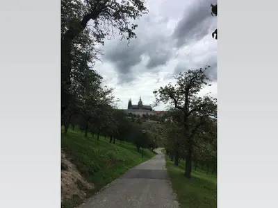 a road leading to a castle on a hill with trees at Stylish apartment 5 mins from the Charles Bridge in Prague