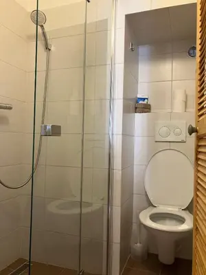 a bathroom with a shower and a toilet at Hradčany apartment with green energy in Prague