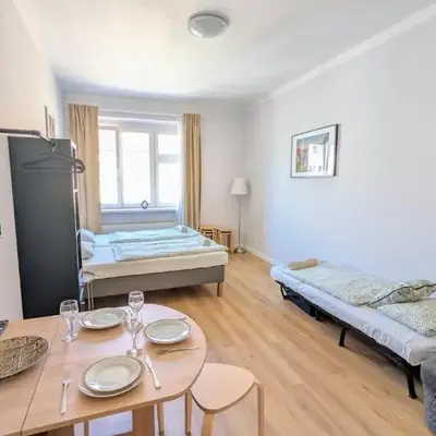 Flat in Zizkov -403-