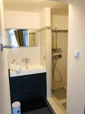 a bathroom with a sink and a shower at Apartments by Jacob in Prague