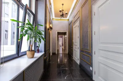 a hallway with a potted plant and a door at Two-bedroom Haven In The Old Town in Prague