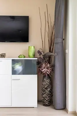 a living room with a tv and a vase with flowers at Bastien Studio near Airport in Prague