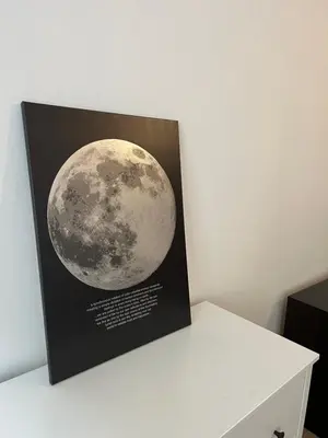 a picture of the moon on a wall at Apartmány Soukenická in Prague