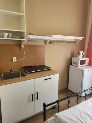 a small kitchen with a sink and a microwave at Pension Sunflower in Prague