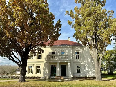 a white house with two trees in front of it at Zámek Jenišovice in Býkev