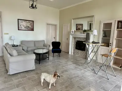 a living room with a dog standing in the middle at Zámek Jenišovice in Býkev