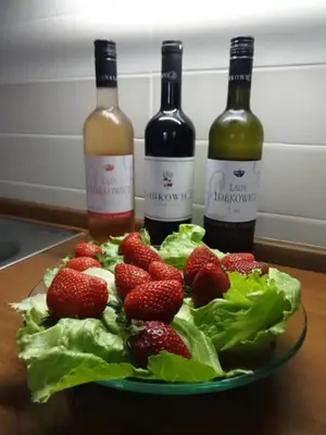 a plate with strawberries and two bottles of wine at Dům V Podzámčí in Mělník