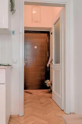 an open door to a hallway with a wooden door at Cosy central apartment in Žižkov in Prague