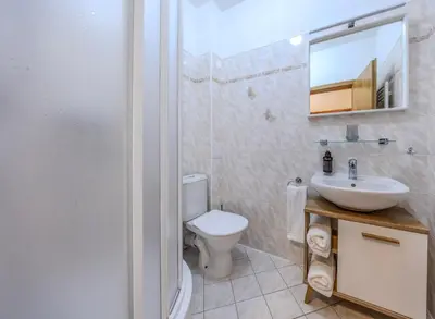 a bathroom with a toilet and a sink and a mirror at Marina Vltava in Nelahozeves