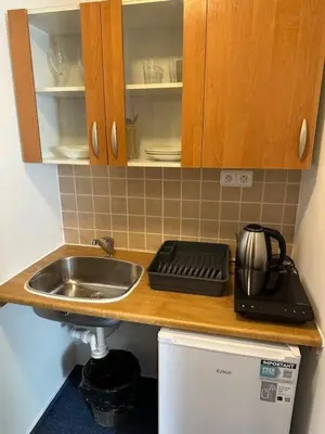 a kitchen counter with a sink and a microwave at Marina Vltava in Nelahozeves