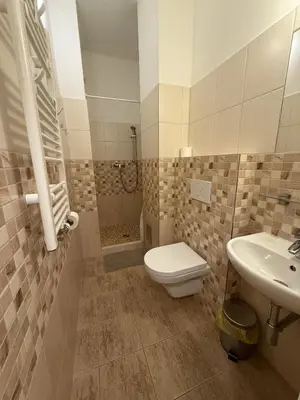 a bathroom with a toilet and a sink and a shower at Penzion Radost in Poděbrady