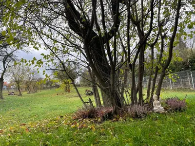 a statue sitting next to a tree in a field at Bydlení v zahradě in Bratronice