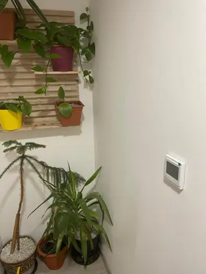a room with potted plants on a wall at Bydlení v zahradě in Bratronice
