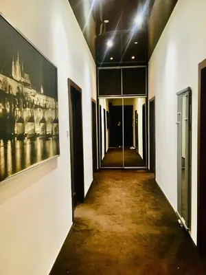 a hallway with paintings on the walls of a building at aparthotel in Prague Centre in Prague