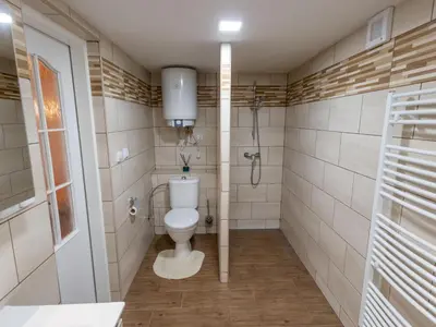 a bathroom with a toilet and a shower at Holiday Home Zimořský domek by Interhome in Dolní Zimoř