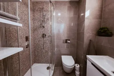 a bathroom with a shower and a toilet and a sink at Nekazanka studio apartment in Prague