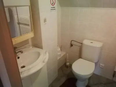 a small bathroom with a toilet and a sink at Villa Barrandovská in Prague