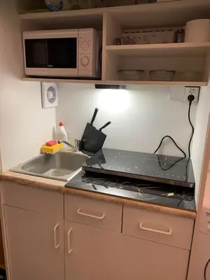 a kitchen with a stove and a sink and a microwave at TDC31, boo in Prague