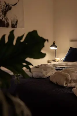 a bedroom with a bed with a plant on it at Pod Vojtěchem - soukromý wellness apartmán in Wotitz