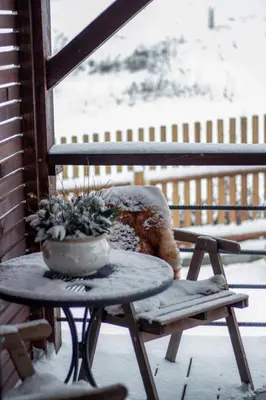 a chair and a table with a potted plant on a porch at Pod Vojtěchem - soukromý wellness apartmán in Wotitz