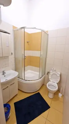 a bathroom with a shower and a toilet and a sink at Cozy Karlín Loft City Center in Prague