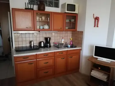 a kitchen with wooden cabinets and a sink and a monitor at Terrace Studio Prague Center in Prague