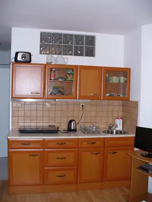 a kitchen with wooden cabinets and a sink at Terrace Studio Prague Center in Prague