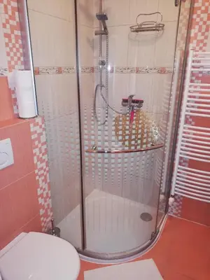 a shower in a bathroom with a toilet at Terrace Studio Prague Center in Prague