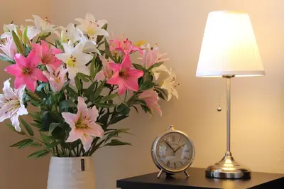 a vase of flowers sitting on a table next to a clock at Royal Prague Apartment Celakovskeho Sady in Prague