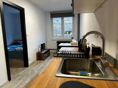 a kitchen with a sink and a bedroom with a bed at Byt v rezidenční čtvrti Prahy 6 in Prague
