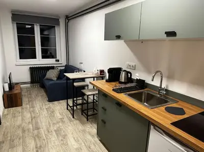 a kitchen with a sink and a couch in a room at Byt v rezidenční čtvrti Prahy 6 in Prague