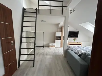 a bedroom with a bunk bed and a ladder at Apartment Cimburkova in Prague