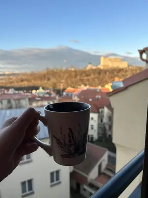 a person holding a coffee cup in a window at Apartment Cimburkova in Prague