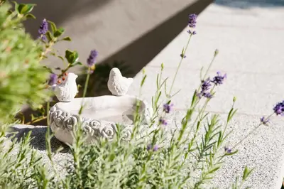 two white birds sitting on a bowl in a garden at Villa na Vinici in Prague