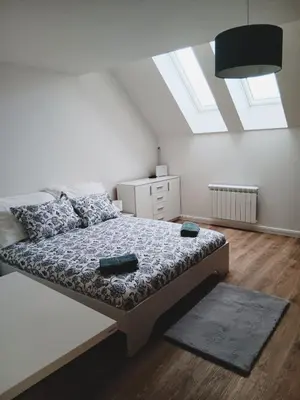 a bedroom with a bed and a skylight at Apartment Prague city center - next to Florenc in Prague