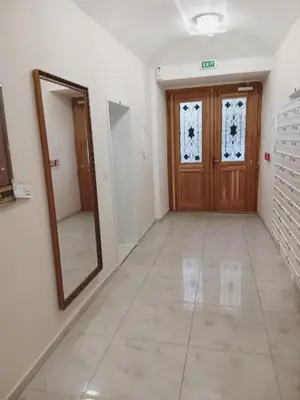 a hallway with a mirror and a wooden door at Apartment Prague city center - next to Florenc in Prague