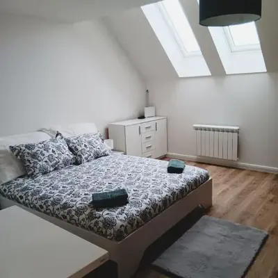 Apartment Prague city center - next to Florenc