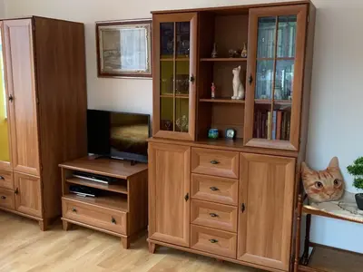 a large wooden cabinet with a tv and a cat sitting in it at Holiday Home Vrbová Lhota U Aničky by Interhome in Vrbová Lhota