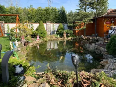 a garden with a pond and a house at Holiday Home Vrbová Lhota U Aničky by Interhome in Vrbová Lhota