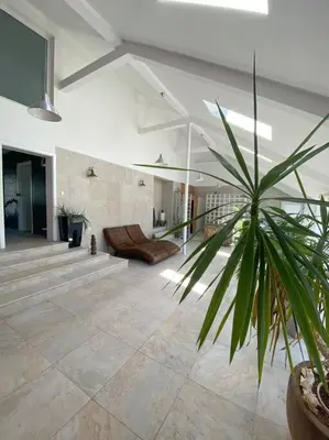 a living room with a couch and a palm tree at Great spacious villa near Prague in Božkov