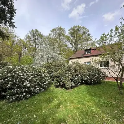 Prague Wellness Home